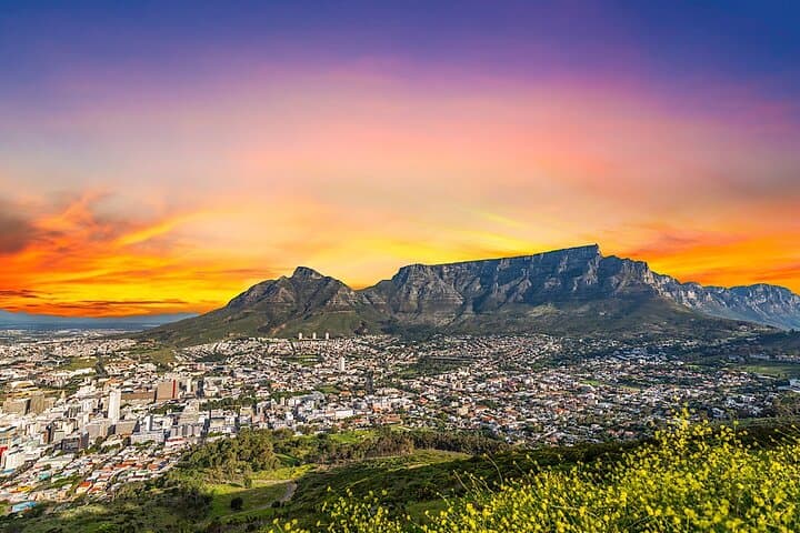 Cape Town Full-Day Cape of Good Hope, Penguins Small Group Tour