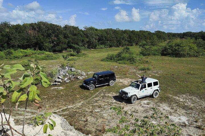 Private Cozumel Cave and Ruin Exploration Tour with Mexican Lunch