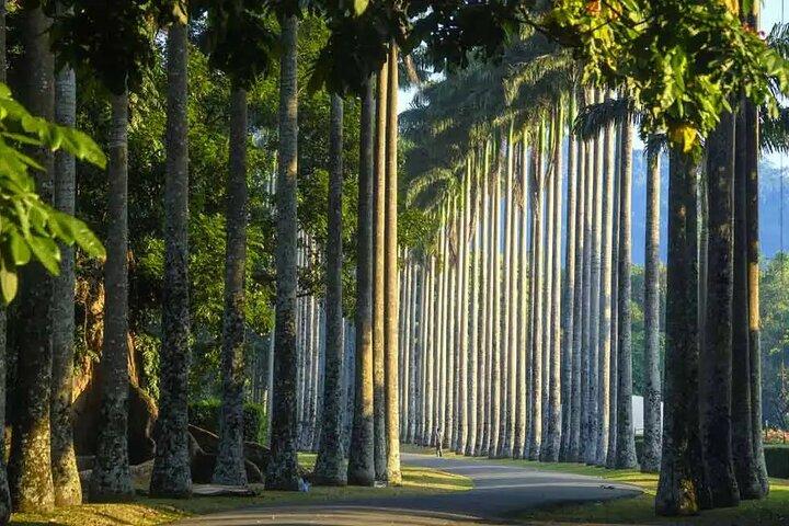 Ultimate Journey in Sri Lanka 4 Day Tours