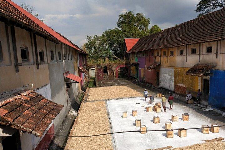 Tuk-Tuk Shopping Tour in Kochi – Spices,Crafts,Silks & Souvenirs