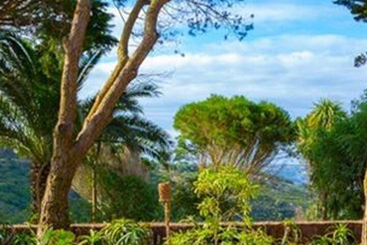 Half-Day Tour in Cascais / Sintra with Brunch and Wine Tasting