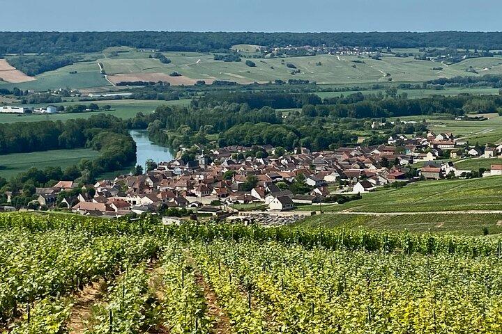 Moet et Chandon Pressoria Champagne Small Group from Paris