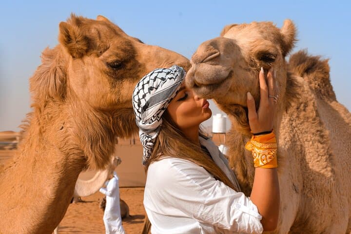 Morning Dubai Desert Safari Private Tour