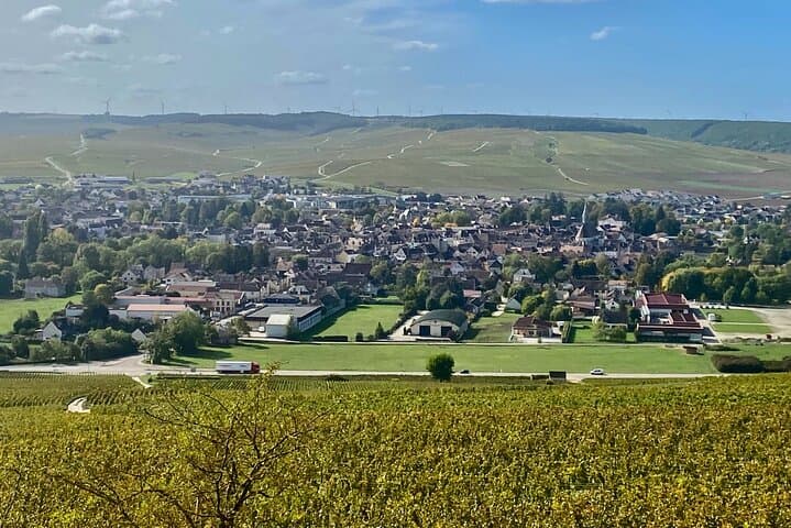 Private Burgundy 3 Domaines Chateau Pommard Chablis 15 Wines Trip