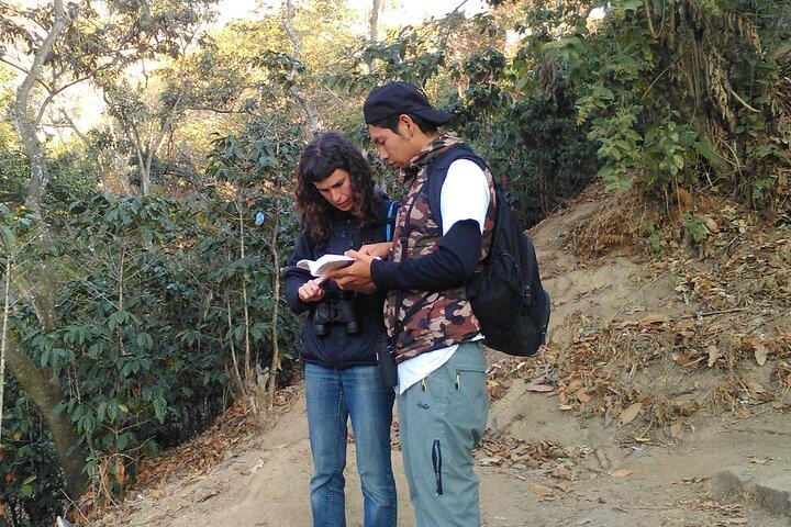 5-Hour Private Birdwatching Experience in San Juan La Laguna