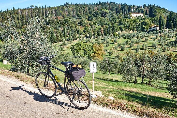 Full Day Tuscan Bike Tour With Wine Tasting and Lunch At Farm
