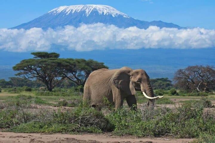 6-Day Private Landcruiser Safari to Masai Mara, Nakuru & Amboseli