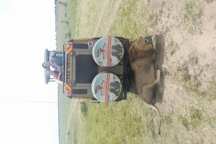 3-Day Masai Mara and Naivasha Hell's Gate National Park-Safari