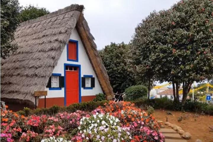 EAST: Pico do Arieiro & Laurissilva Forest - Full Day tour
