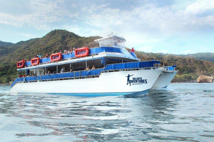 Whale Watching in Puerto Vallarta