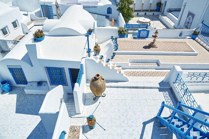 Carthage, Bardo Museum, Sidi Bou Said and Medina Private Day Tour