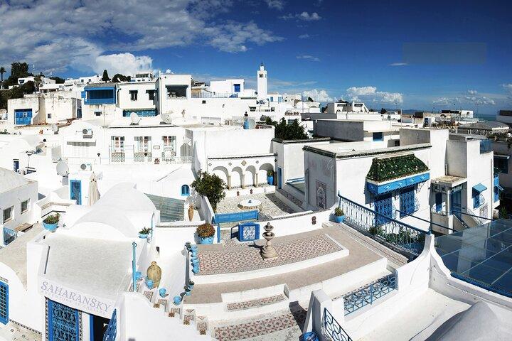Tunis: Carthage, Bardo Museum, Sidi Bou Said & Medina Group Tour