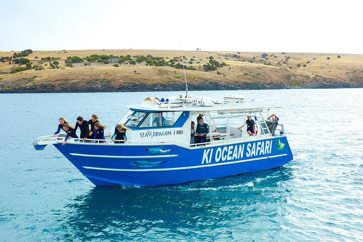 Kangaroo Island - Swim with Dolphins/Seals/Coastal Snorkel