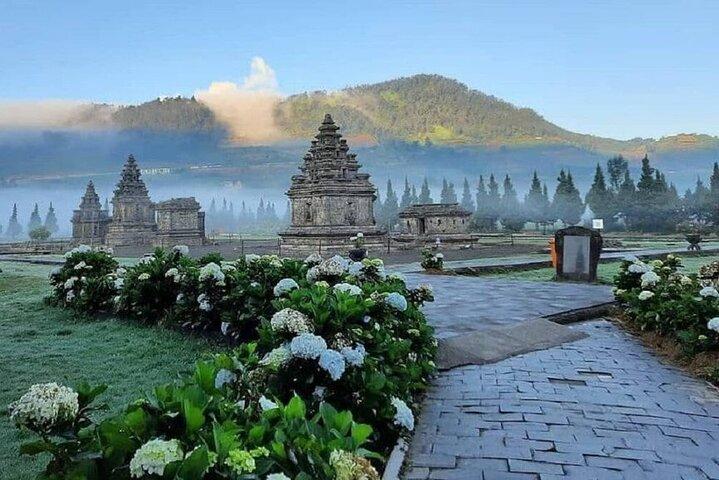 Dieng Plateau with Sikunir Sunrise Full-Day Tour