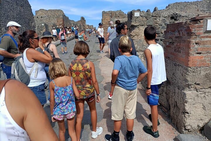 Private Full-Day Pompeii and Vesuvius Volcano Tour for Families