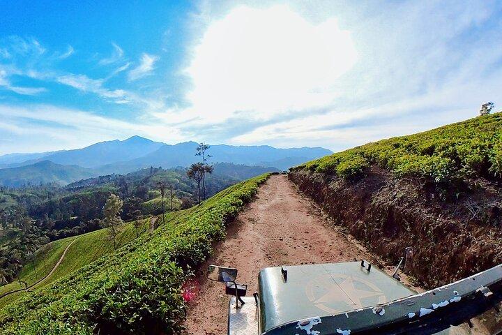 Sightseeing tour Ella & Diyaluma waterfall by car