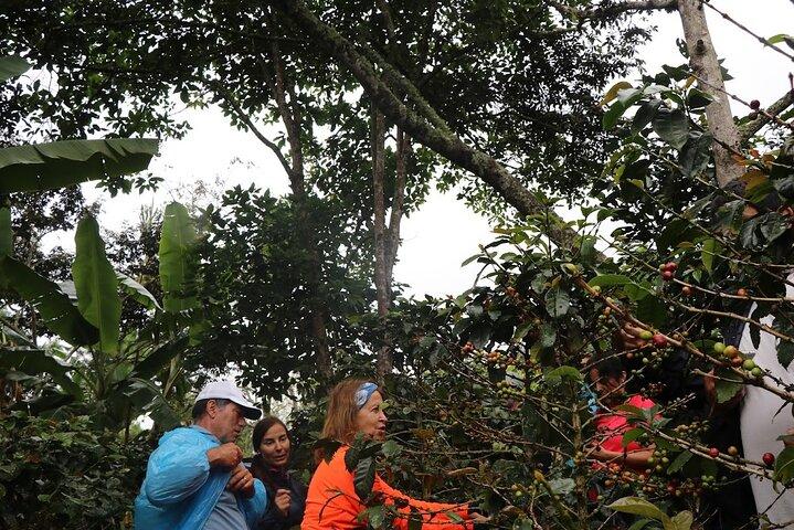 Salkantay Trek 5D/4N - Adventure Hike to Machu Picchu