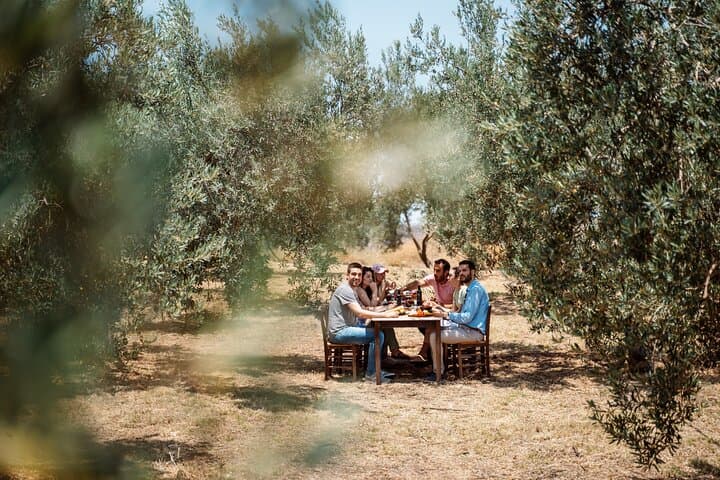 Full-Day Private Tour Corinth and Olive Oil Tasting from Athens
