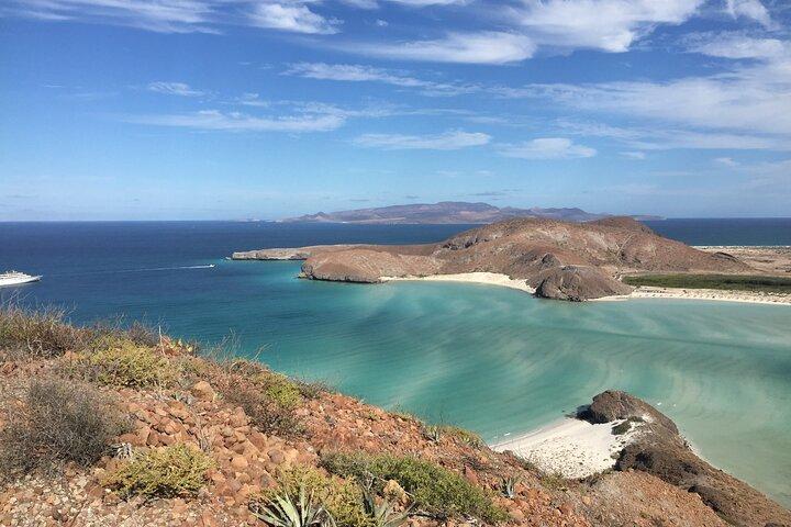 La Paz Whale Shark & Sea Lion Snorkeling + Balandra Tour