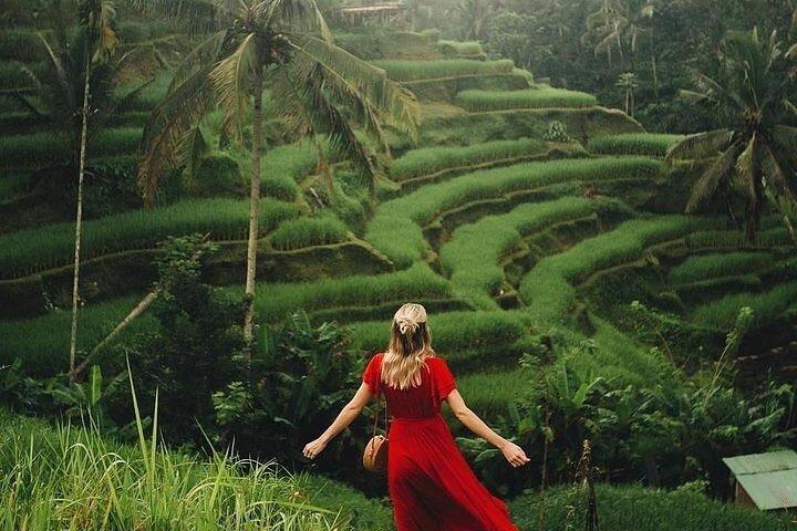Ubud: Swing - Monkey Forest - Waterfall - Temple - Rice Terraces - Art Crafts