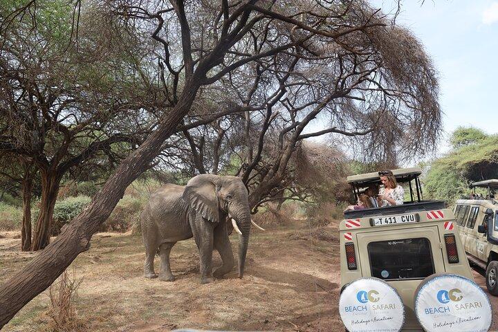 Arusha : 7 Day Safari Discover the real Africa from Lake Manyara