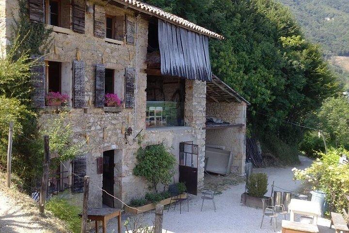 Prosecco Wine Tour with Sommelier – Pick-up from Treviso