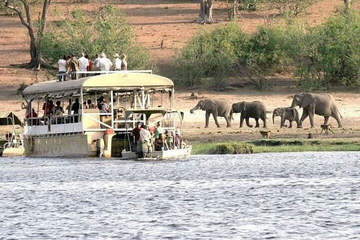 Chobe Day Trip