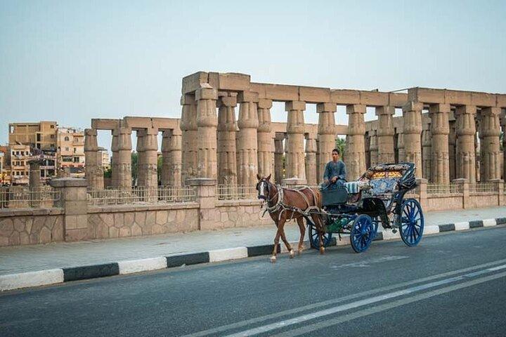 Luxor Private Half-Day Tour: Karnak Temple & Luxor Temples