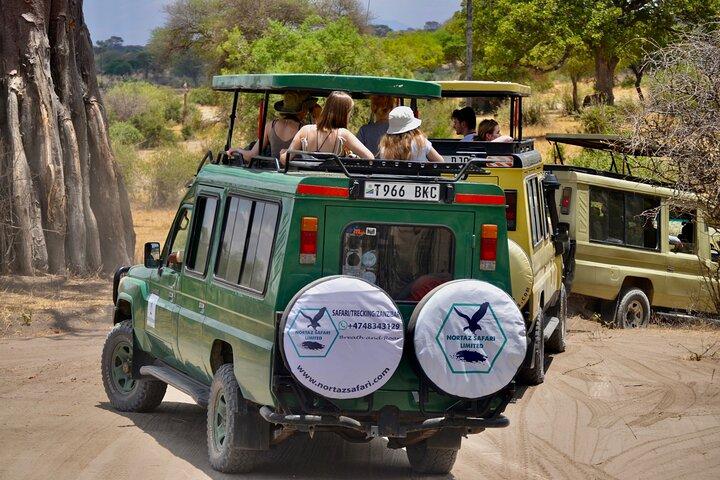 Best Safari and Zanzibar 10-Days Excursions