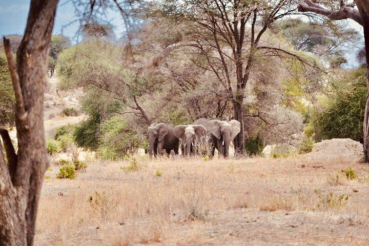 Best Safari and Zanzibar 10-Days Excursions