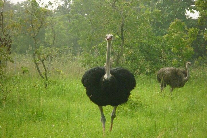 Shai Hills Half Day Accra Safari, Hike & see Animals