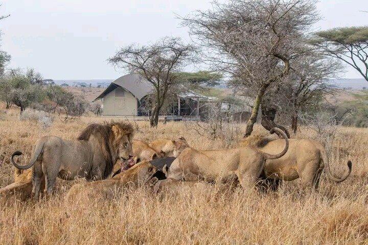 Full-Day Chobe Trip Botswana