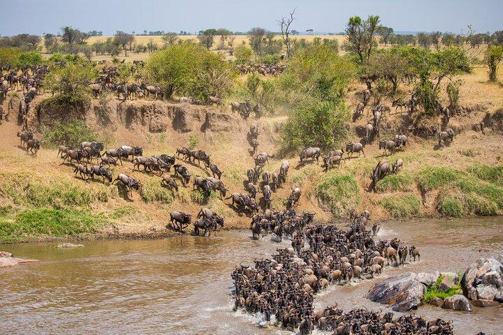 4 days Private Camping Tour - Serengeti Ngorongoro & Lake Manyara