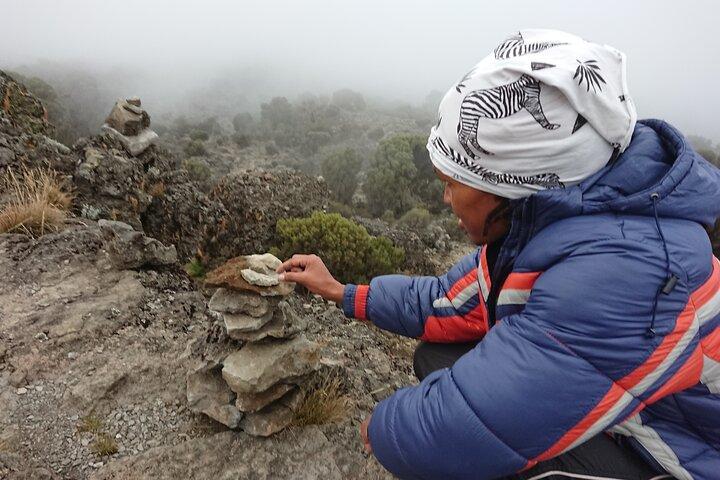 7-Day Kilimanjaro Climb by Machame Route Private Guided Tour