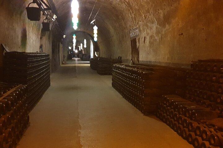 Champagne Day tour with Veuve Clicquot and 2 other big wineries