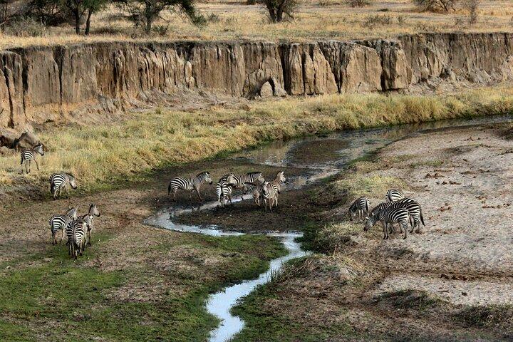 4-Days Northern Circuit Safari in Tarangire, Serengeti and Ngorongoro