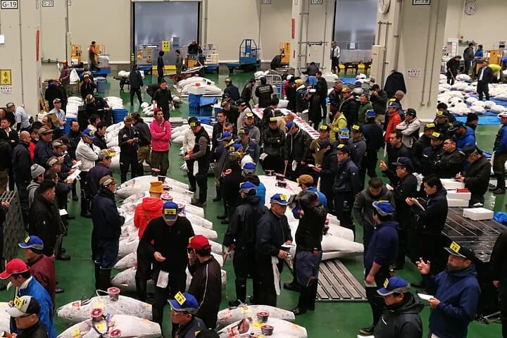 Complete Tuna Auction & Toyosu Market Tour with Fumi