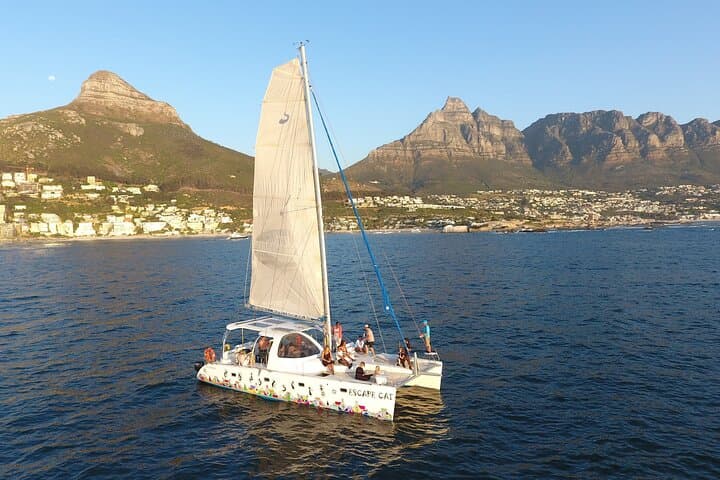 Cape Town Sunset 90 minutes with Escape Cat