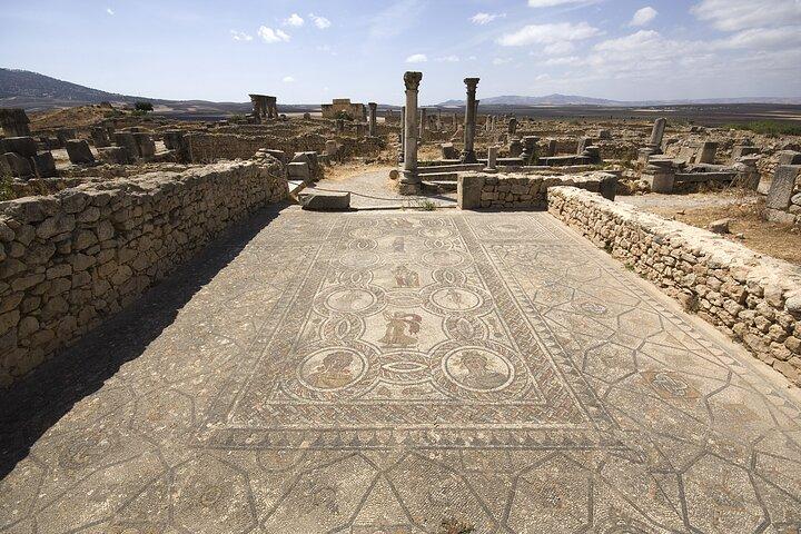Day Trip from Fes to Meknes, Volubilis, Moulay Idriss