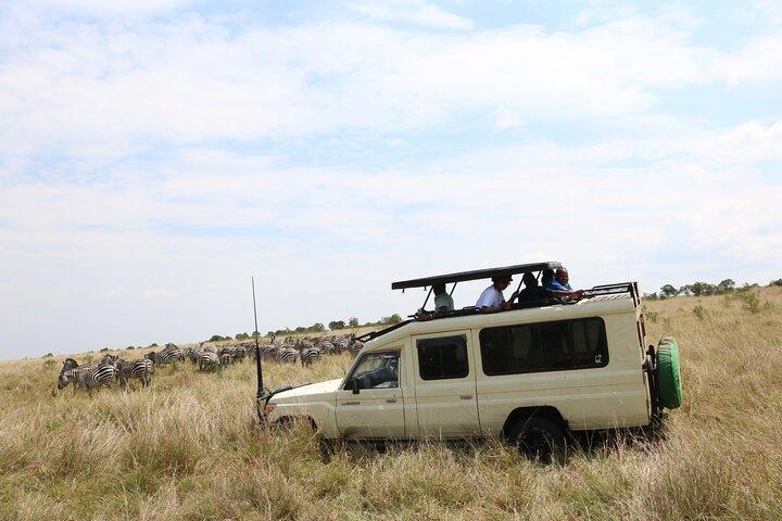 Full-Day Private Tour Nairobi National Park and Giraffe Center