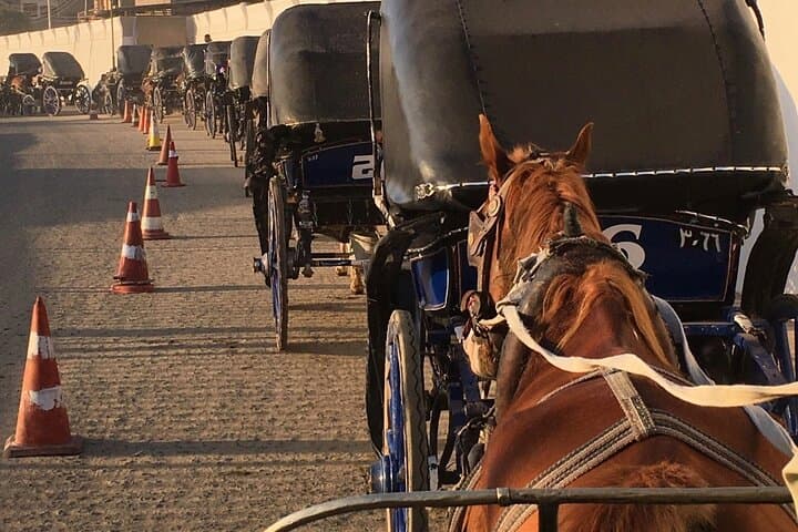 Private Luxor Horse-Carriage Tour with Local Guide