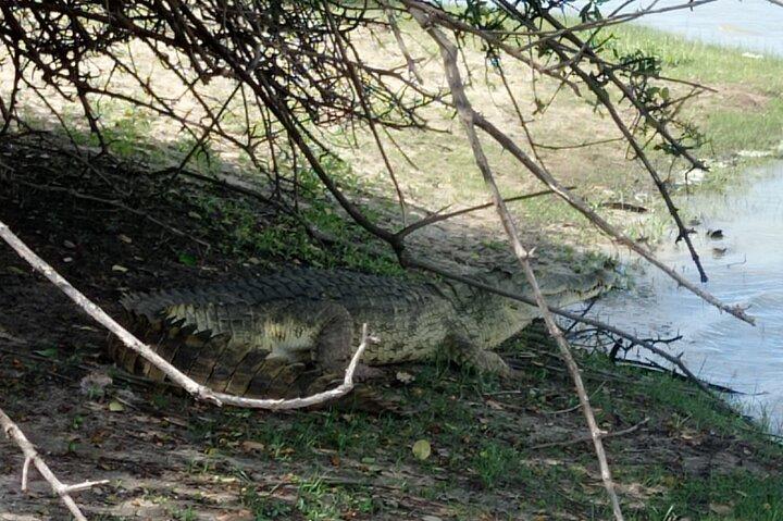 3 Days Selous (Nyerere National Park) Safari from Zanzibar & Back