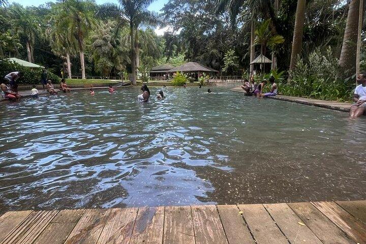 YS Falls, Black River Safari, Appleton Rum Tour OR Pelican Bar (Choose Up to 3)