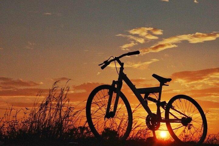 Luxor East Bank Bike Tour: Karnak & Luxor Temples