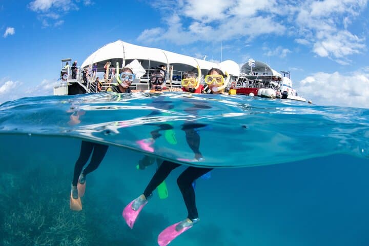 Full Day Great Barrier Reef Pontoon with Snorkeling & Activities