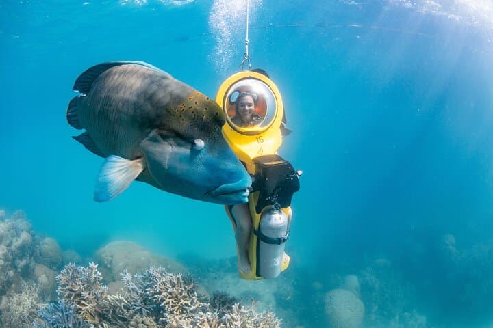 Full Day Great Barrier Reef Pontoon with Snorkeling & Activities