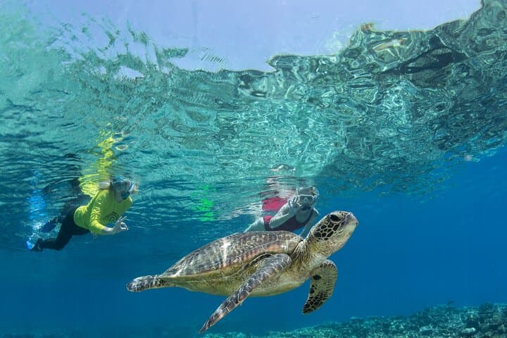 Silverswift Dive and Snorkel Great Barrier Reef Cruise