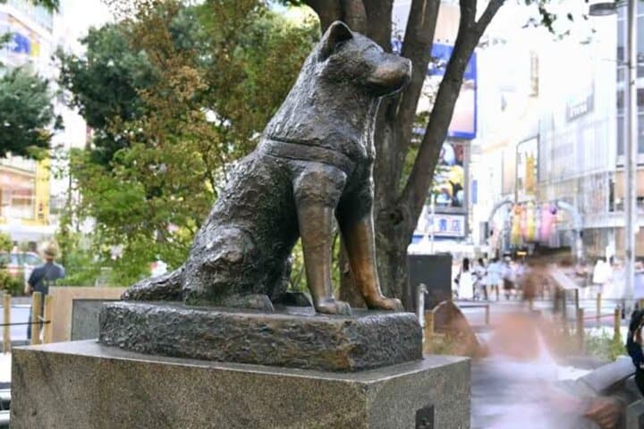Tokyo Private Day Tour by Car with English speaking Driver Guide