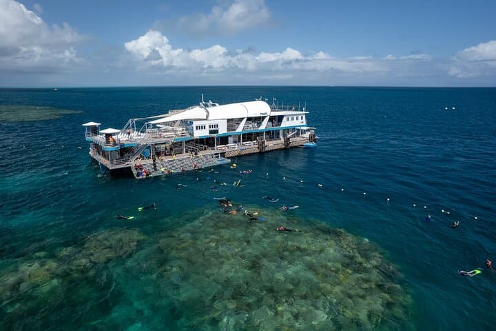 Snorkel & Dive the Reef: Sustainable, Scientific & Cultural Tour