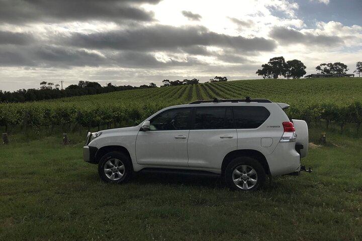 Private Wine Tours McLaren Vale or Adelaide Hills